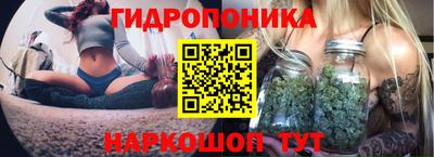 спайс Жуковский