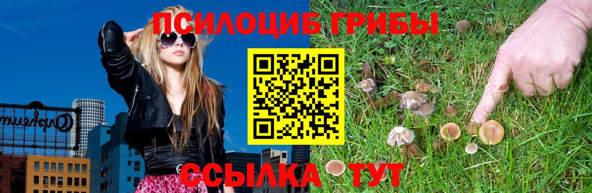 хочу   Псилоцибиновые грибы GOLDEN TEACHER  Вход с VPN  Карпинск  Псилоцибиновые грибы MAGIC MUSHROOMS 